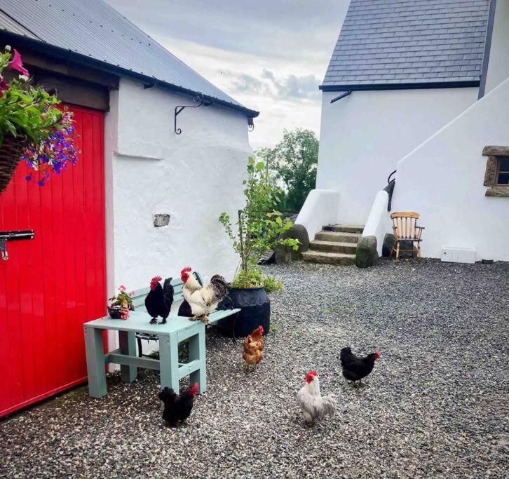 Stone Wall Cottage Castlewellan Exterior foto