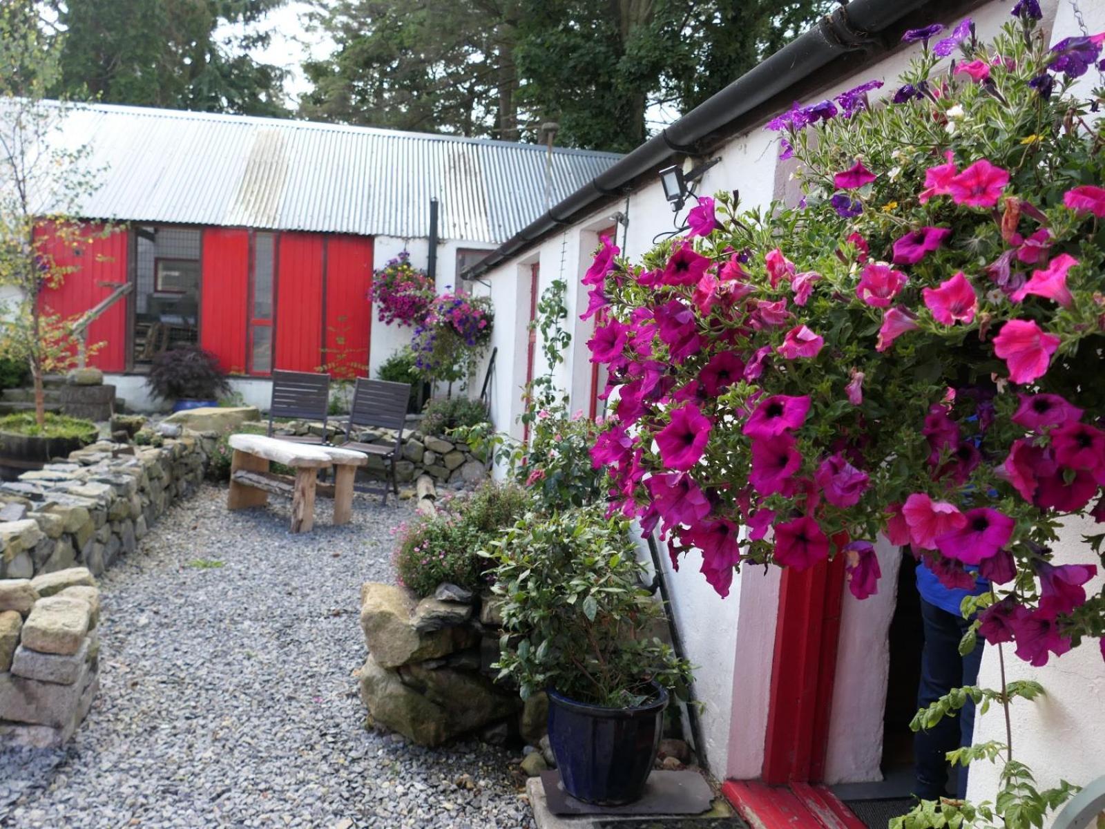 Stone Wall Cottage Castlewellan Exterior foto